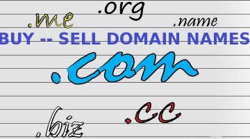 Buying and Selling Domain Names! Is it Profitable?