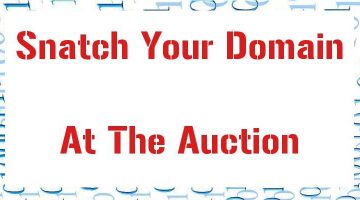 Dropcatch Domains Auction