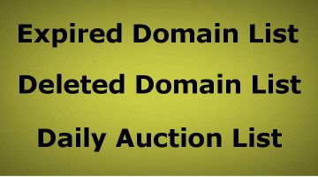 Domains at Auction