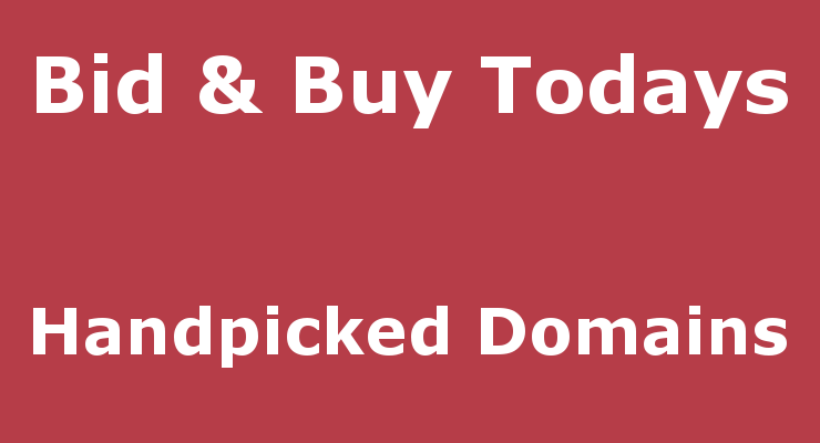 Expired Domain Investing Ideas