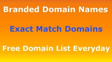 Expired Domain Name Auction