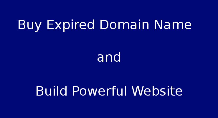 Expired Domain Picks