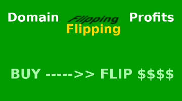 Flipping Domain Names For Profit