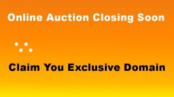 Domain Names on Auction